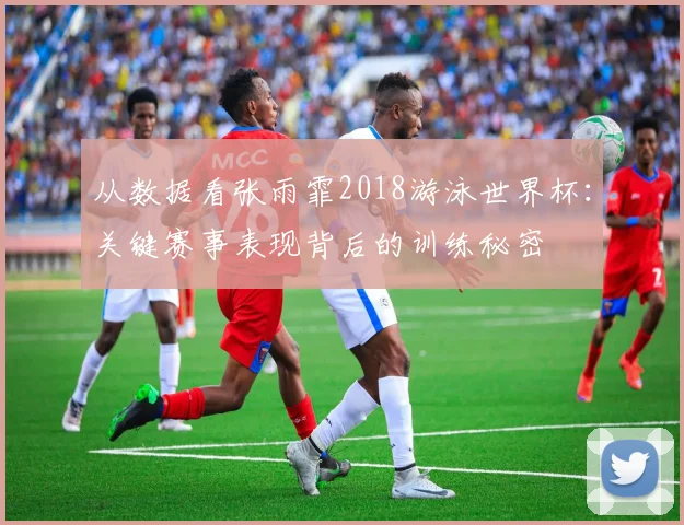 从数据看张雨霏2018游泳世界杯：关键赛事表现背后的训练秘密