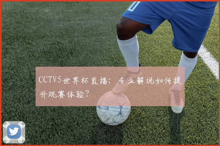 CCTV5世界杯直播：专业解说如何提升观赛体验？